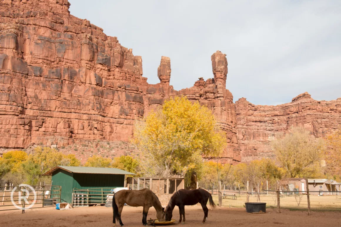 Supai Village